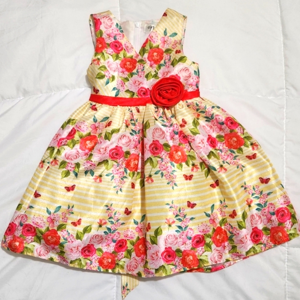 Nannette🦋 dress size 2T